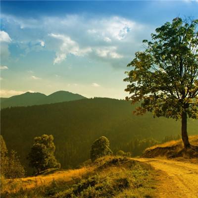 竞彩足球app手机app下载